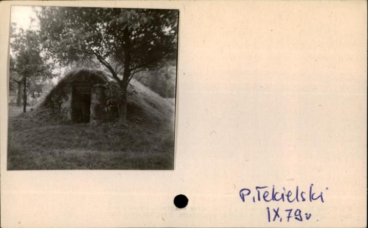 piwnica, skan 2