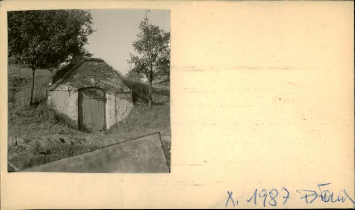piwnica, skan 2