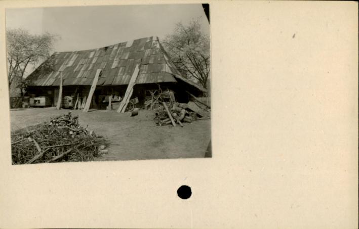 stajnia, skan 2
