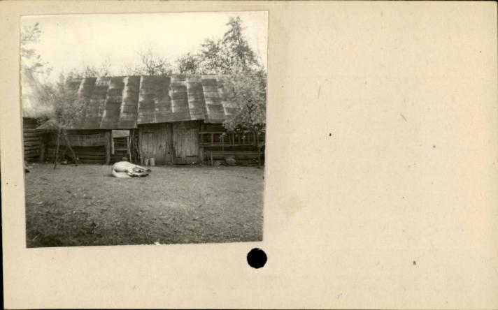 stodoła, skan 2