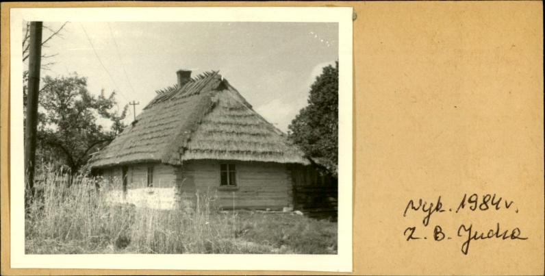 dom, skan 2