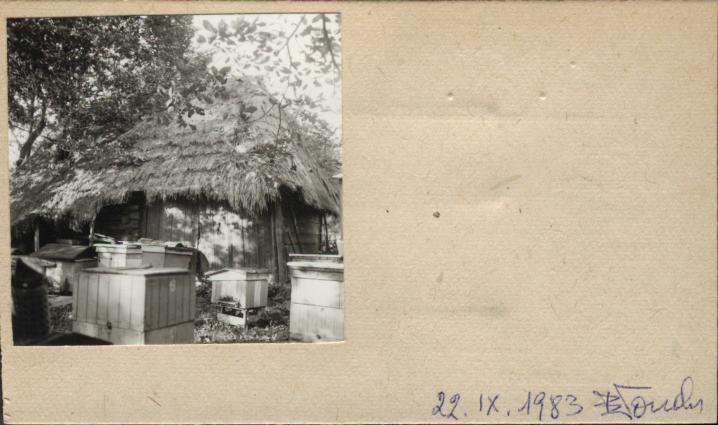 stodoła, skan 2
