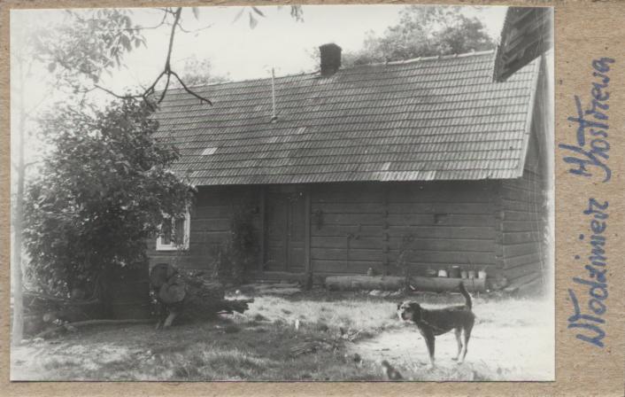 dom, skan 2