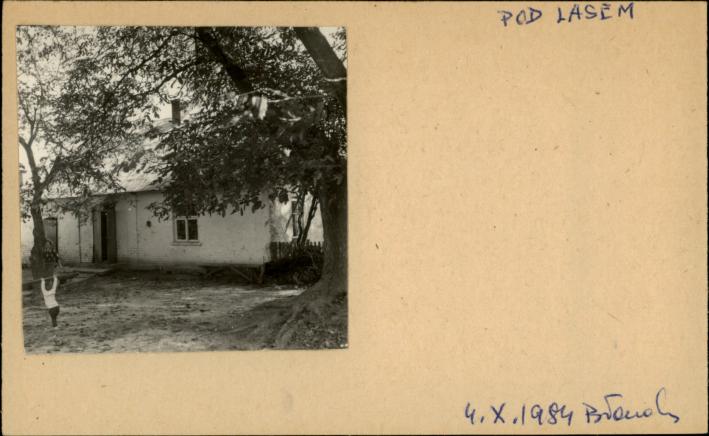 dom, skan 2