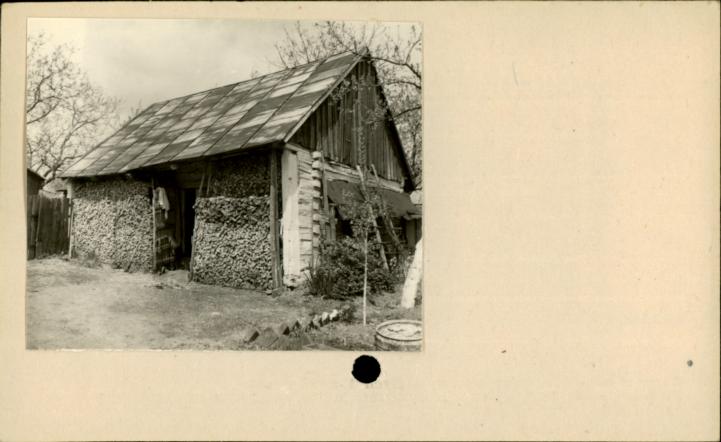 stajnia, skan 2