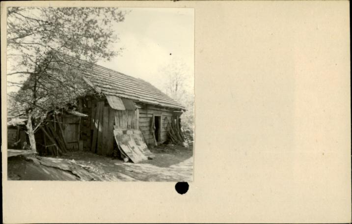 stajnia, skan 2