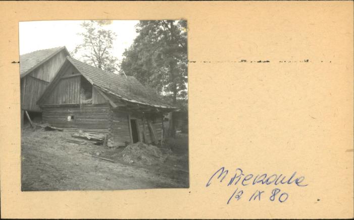 stajnia, skan 2