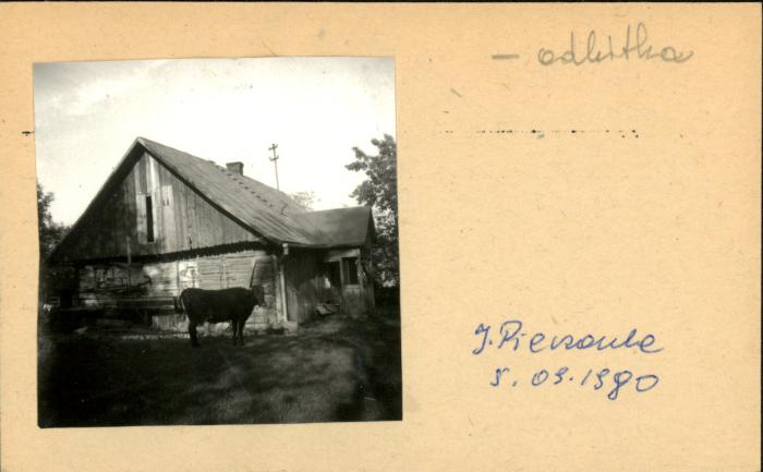 dom, skan 2