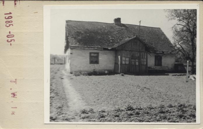 czworak, skan 2