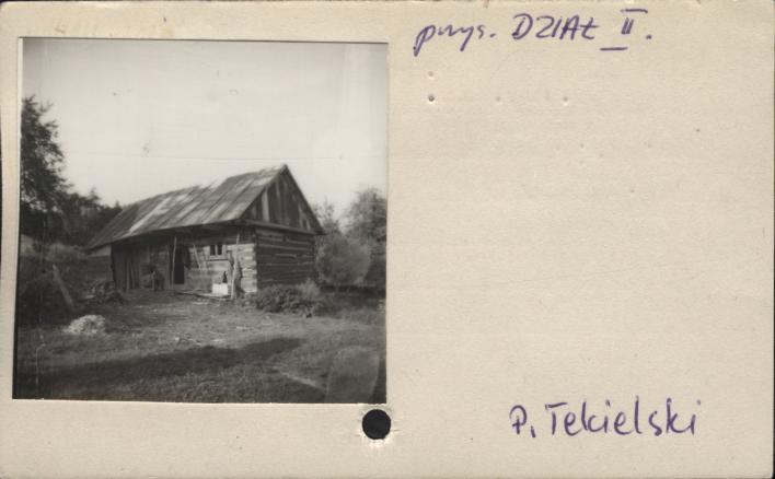 stajnia, skan 2