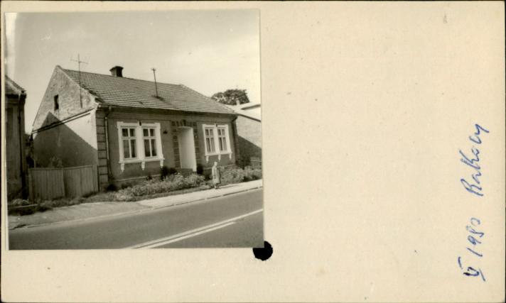 dom, skan 2