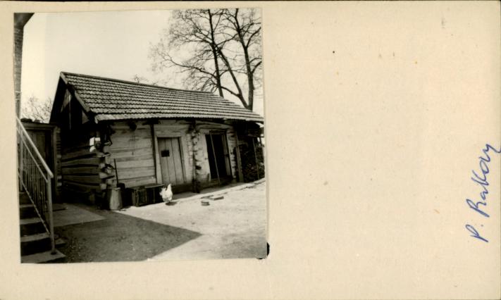 stajnia, skan 2