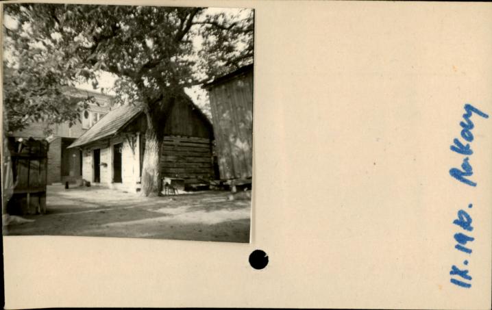 stajnia, skan 2