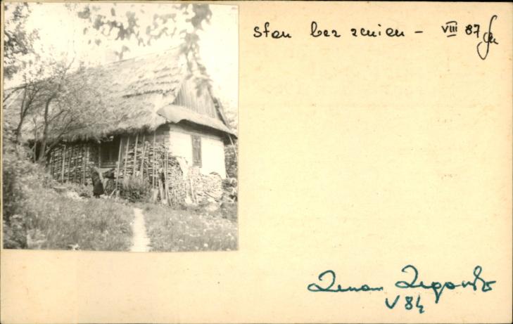 dom, skan 2