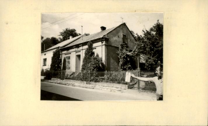dom, skan 2