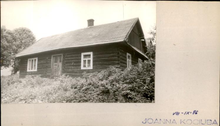 dom, skan 2