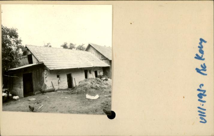 stajnia, skan 2