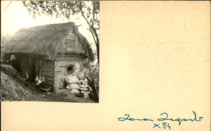 kurnik, skan 2