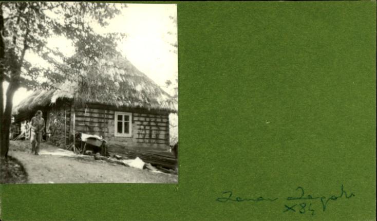 dom, skan 2