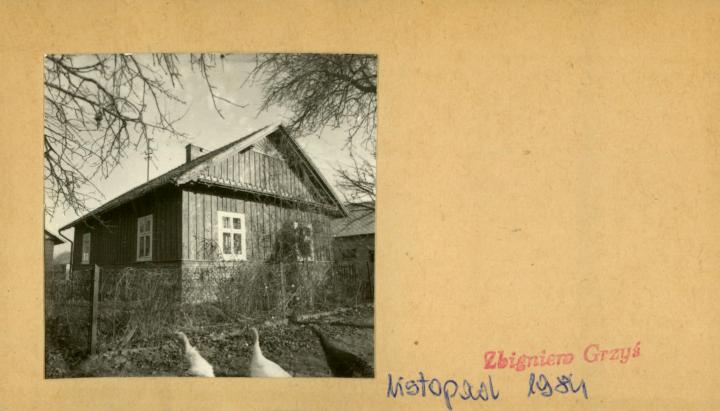 dom, skan 2