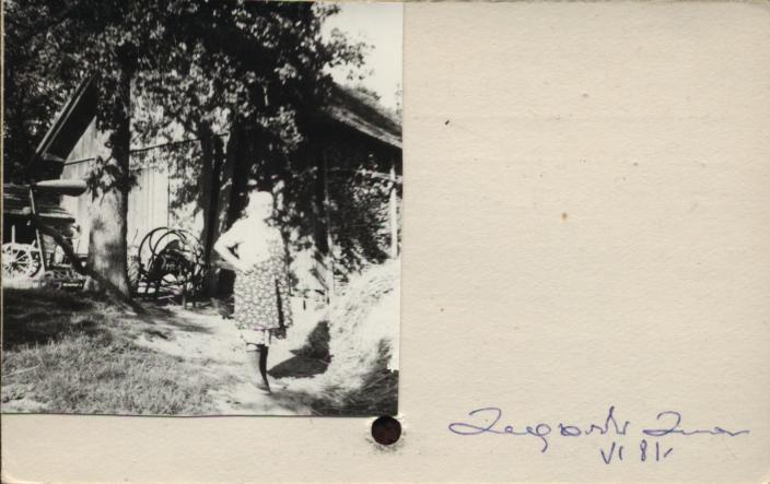 stodoła, skan 2