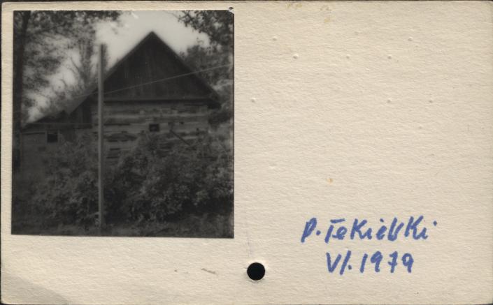 szopa, skan 2