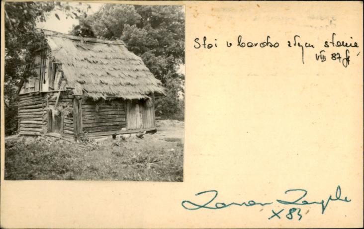 szopa, skan 2