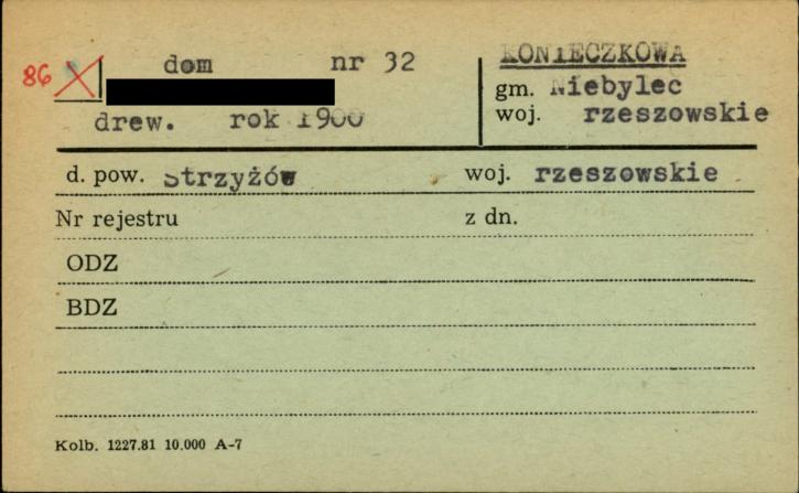 dom, skan 1