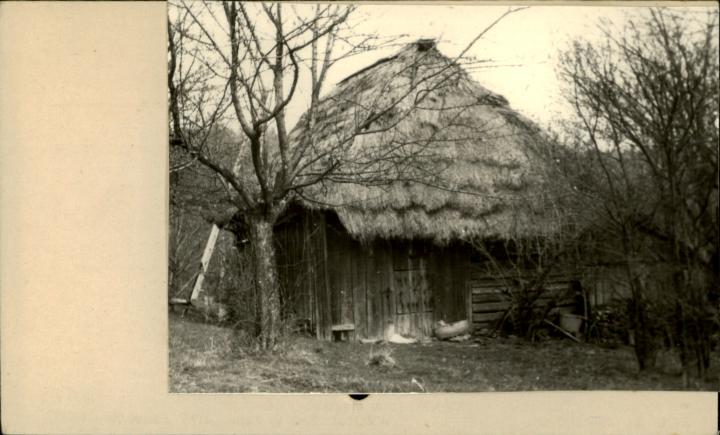 stodoła, skan 2