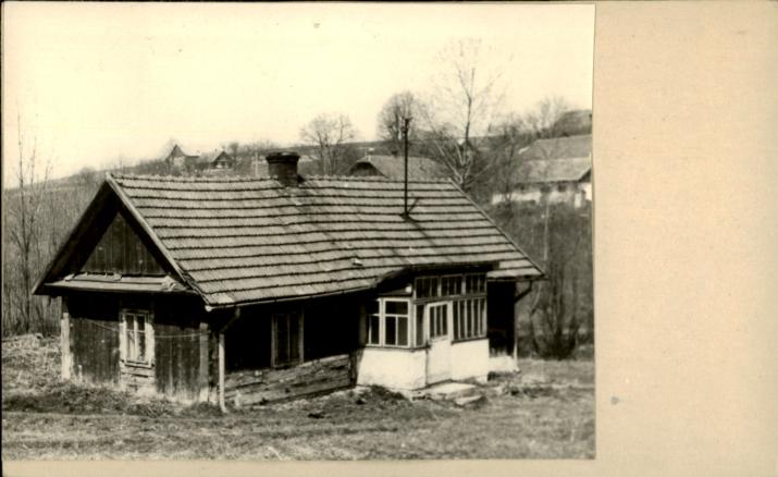 dom, skan 2