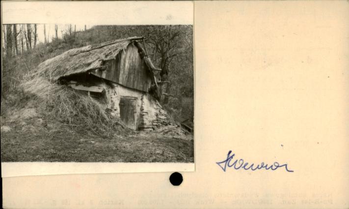 piwniczka, skan 2