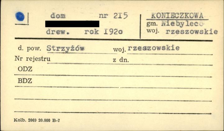 dom, skan 1