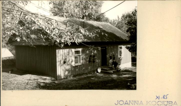 dom, skan 2