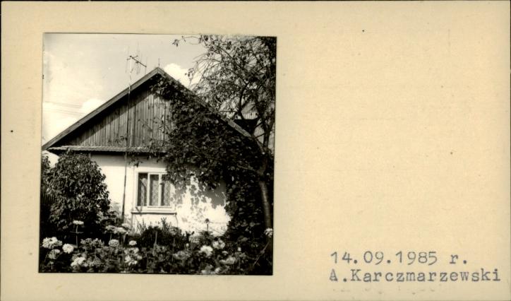 dom, skan 2