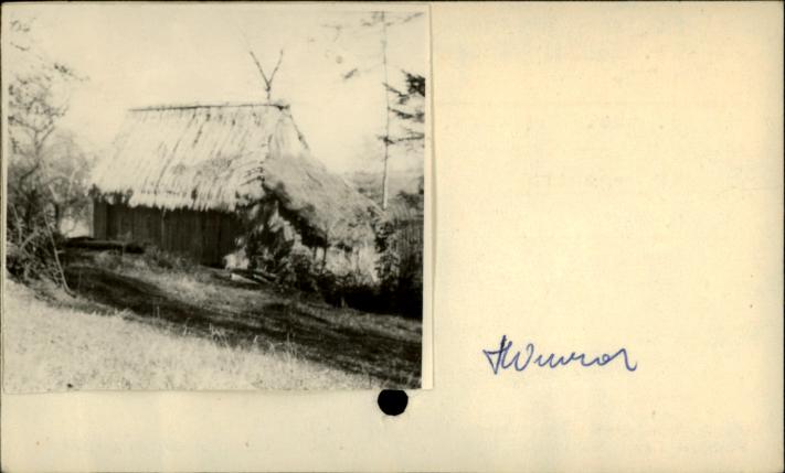 stajenka, skan 2