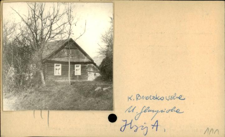 dom, skan 2