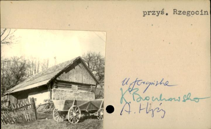 stajnia, skan 2
