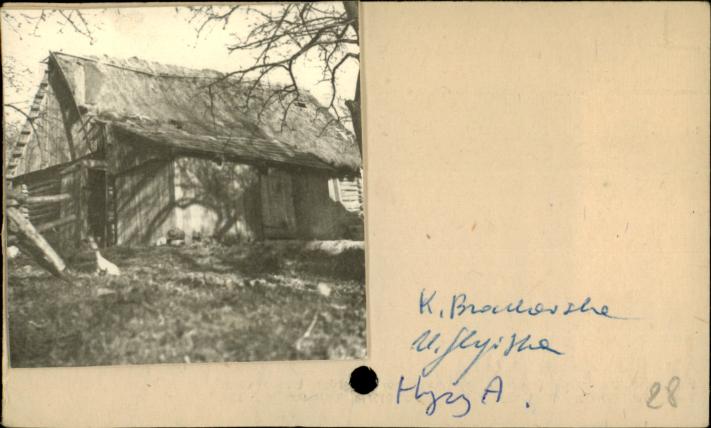 stodoła, skan 2