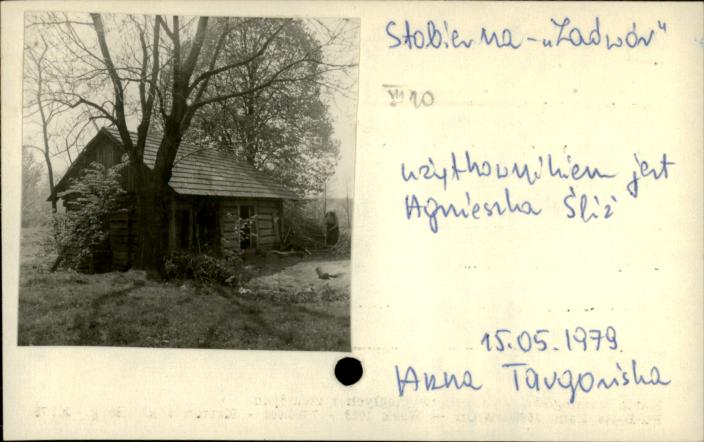 stajnia, skan 2