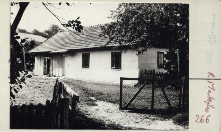 dom, skan 2