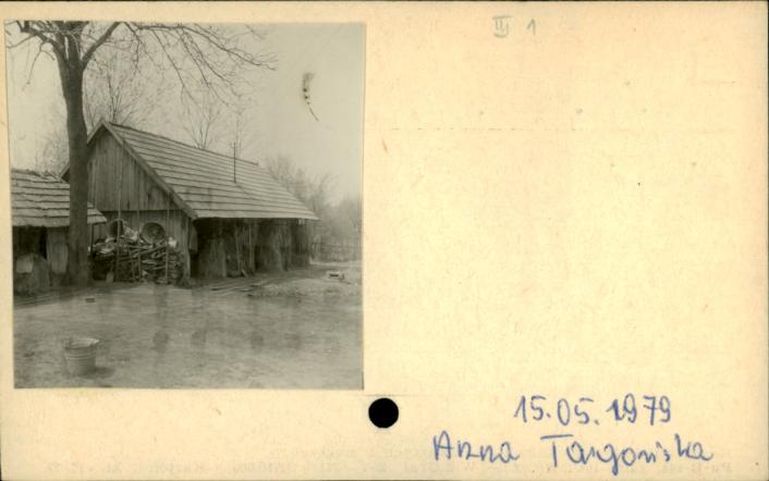 stajnia, skan 2