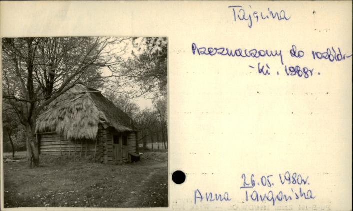 stajenka, skan 2