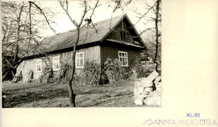 dom, skan 2