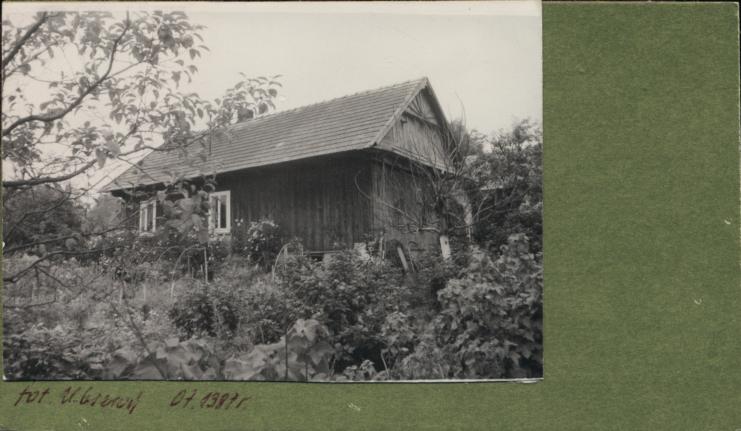 dom, skan 2