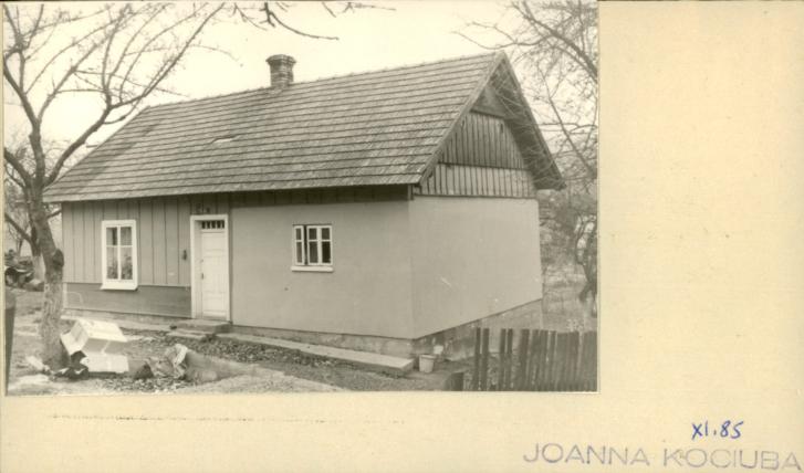 dom, skan 2