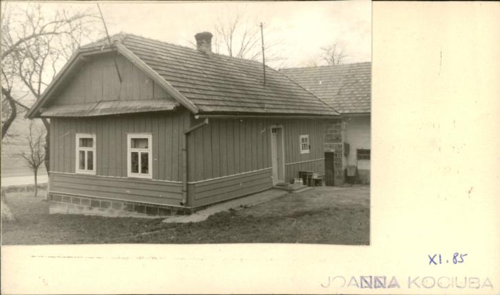 dom, skan 2