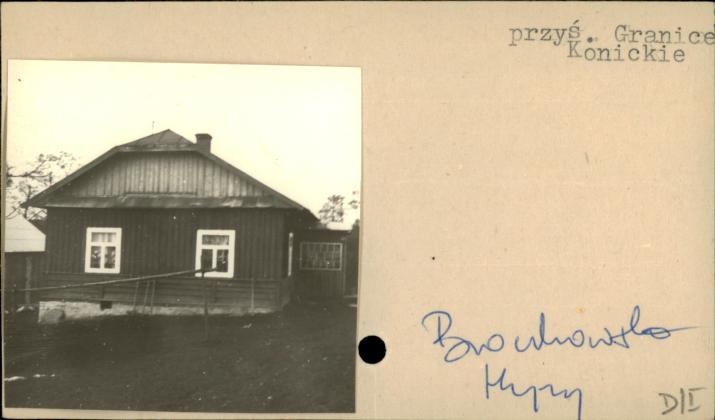 stajnia, skan 2
