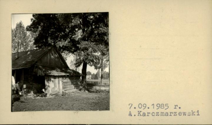 stajnia, skan 2