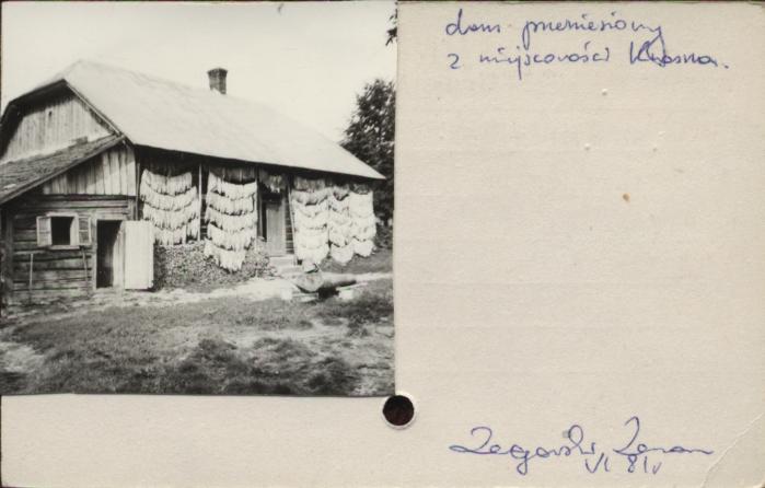 dom, skan 2