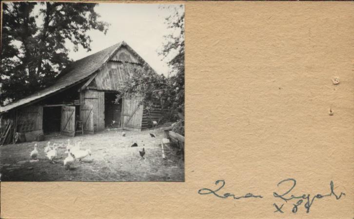 stodoła, skan 2